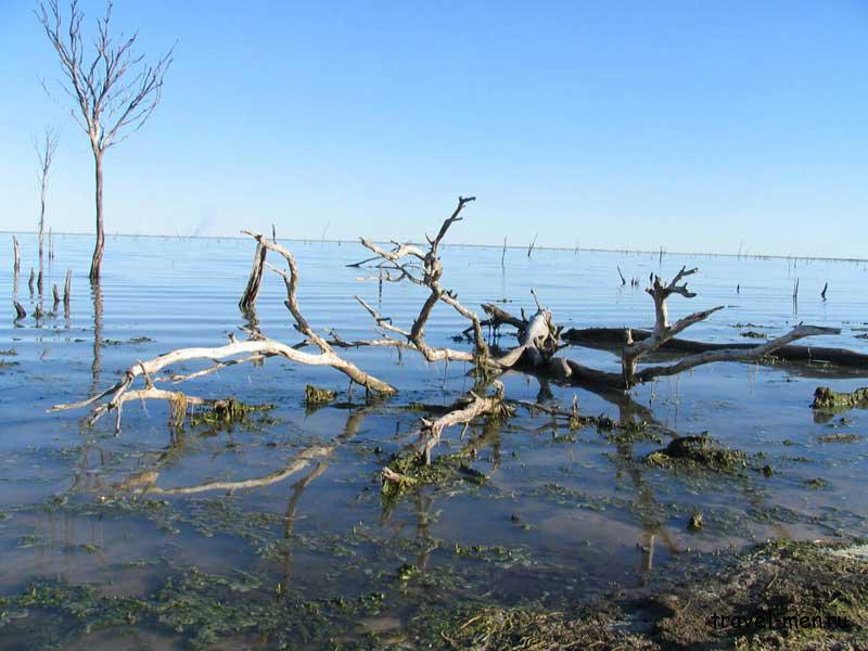 Климат и внутренние воды Австралии